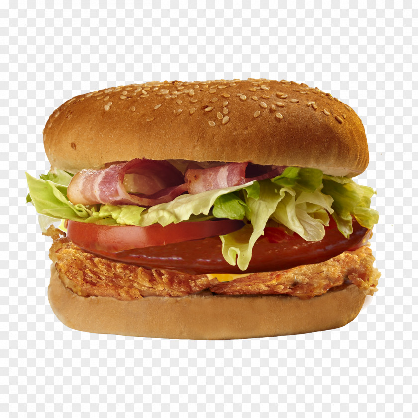 Come Cheeseburger Whopper Hamburger French Fries Junk Food PNG