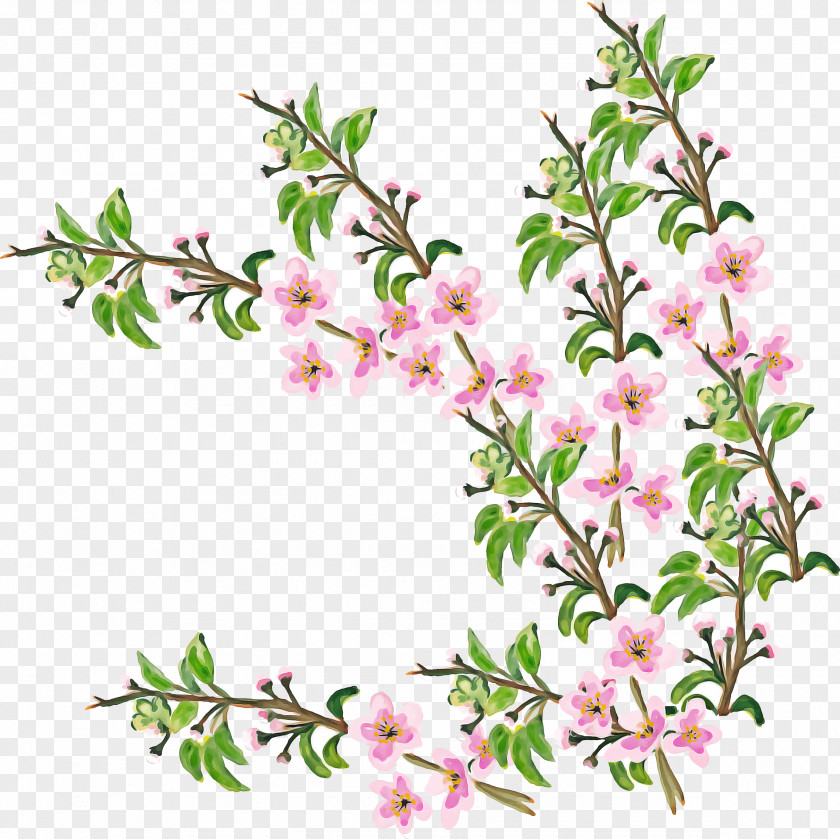 Cut Flowers Pink Cherry Blossom Flower PNG