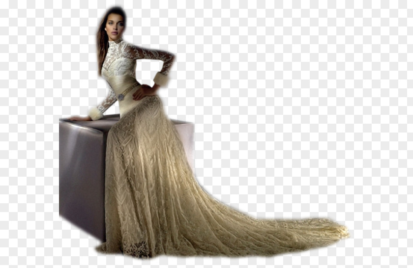 Gown Photo Shoot Fashion Photography PNG