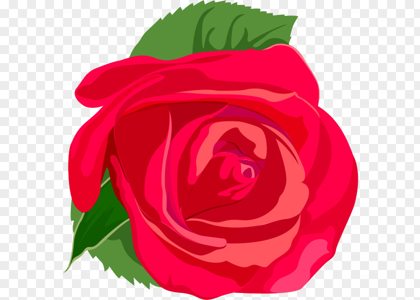 Rose Clip Art PNG