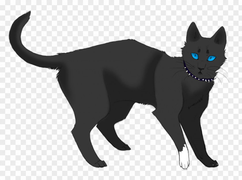 Twilight Background Cats Of The Clans Warriors Drawing ThunderClan PNG