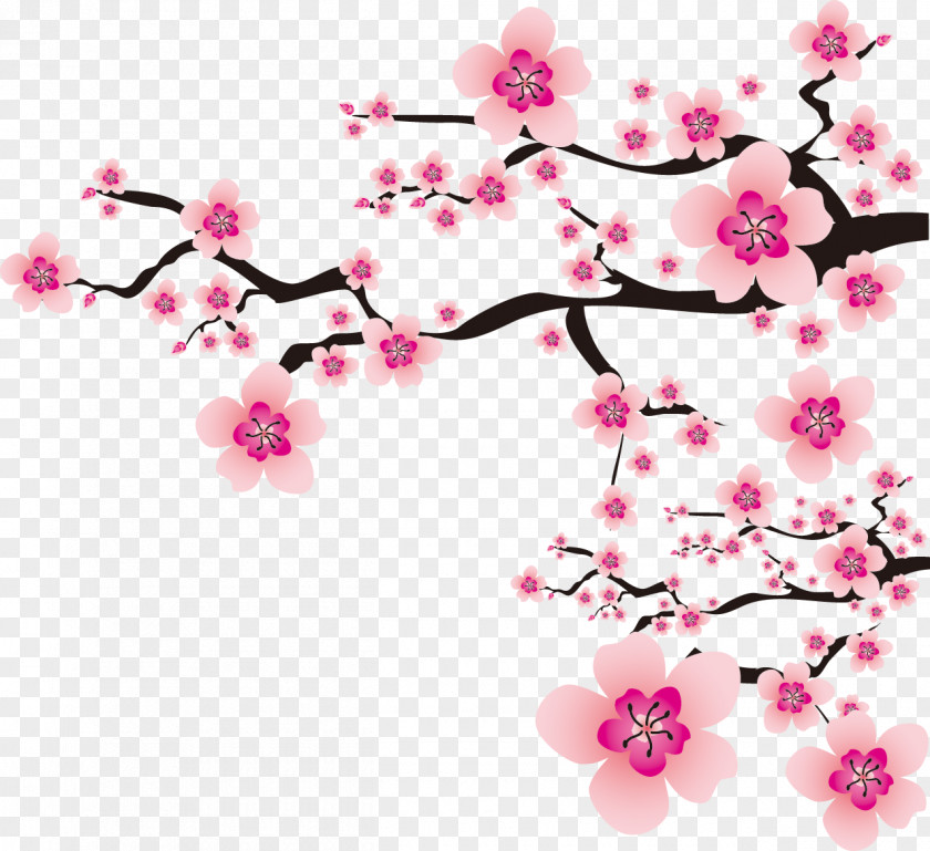 Cherry Blossom Plum Flower Clip Art PNG