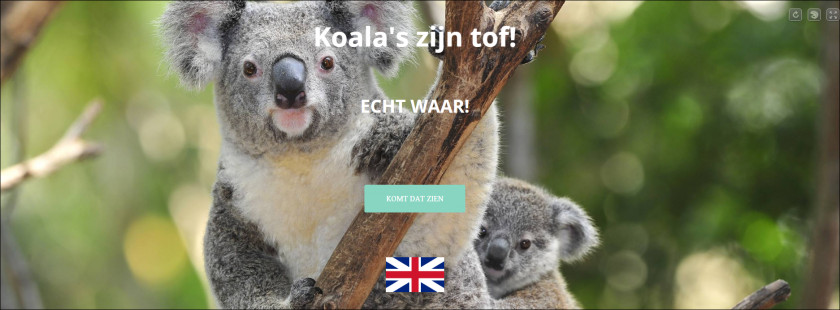 Koala Desktop Wallpaper High-definition Television Display Resolution Theme PNG