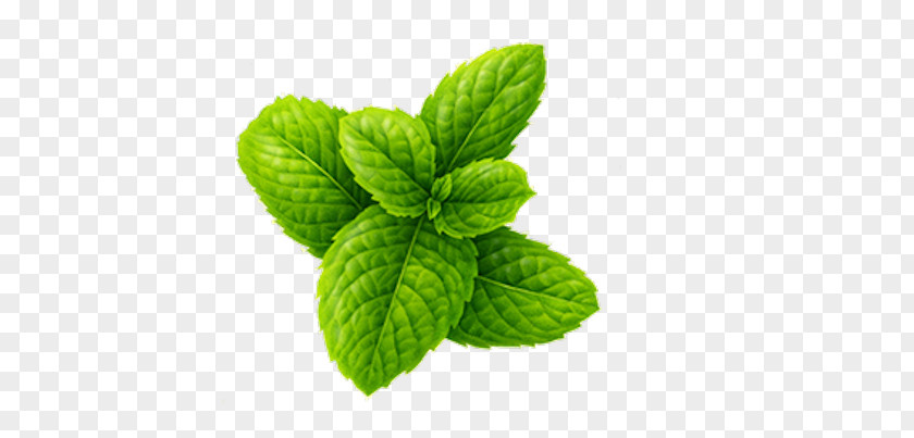 Mint Leaf Cough Syrup Image PNG