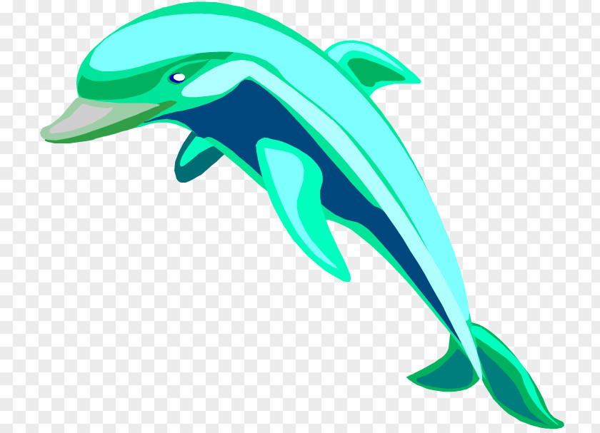 Ys Cliparts Spinner Dolphin Bottlenose Free Content Clip Art PNG
