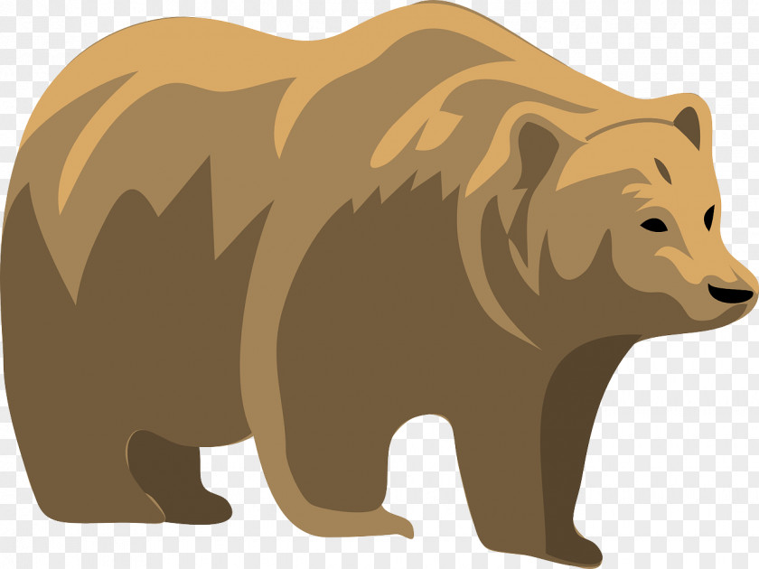 Bear Brown Bear, What Do You See? Clip Art PNG