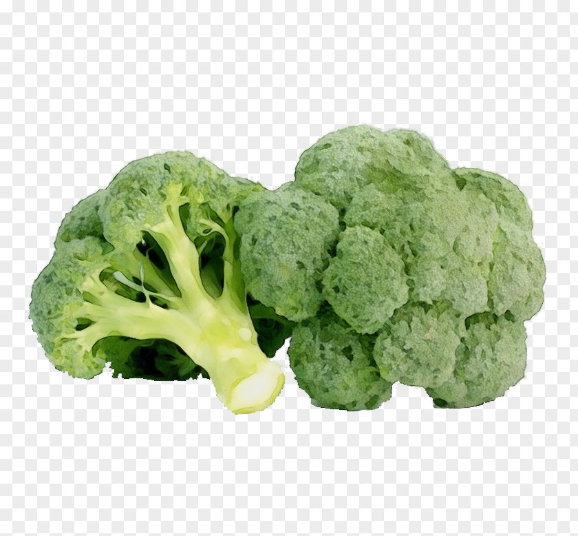 Cabbage Plant Cauliflower PNG