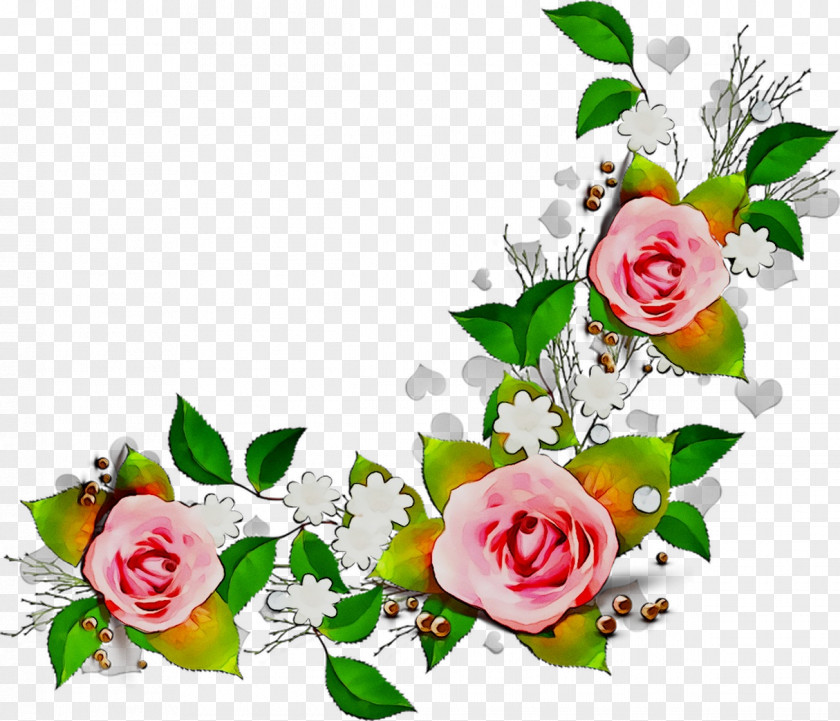 Garden Roses Floral Design Cut Flowers PNG