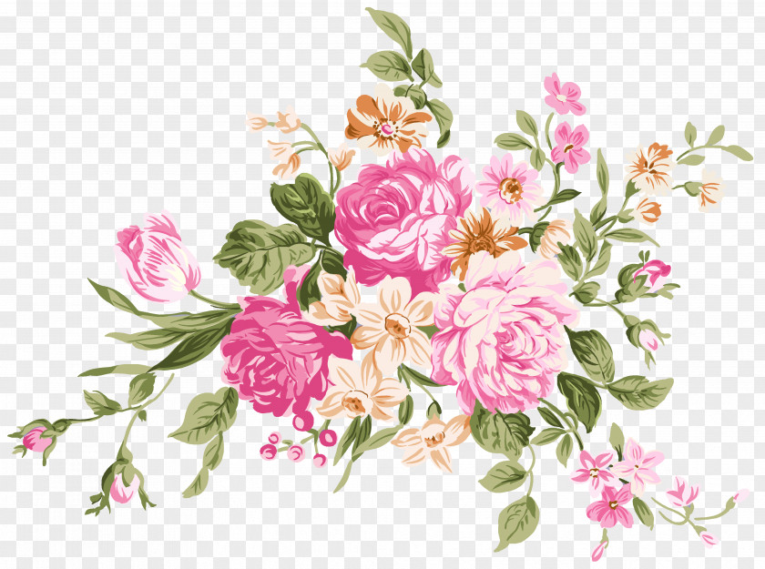 Peony Paper Flower Drawing PNG