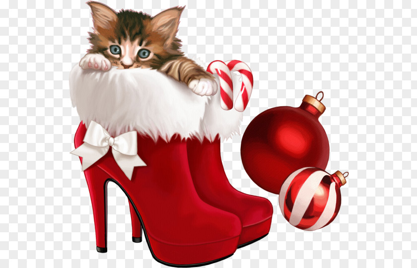 Red Shoes Kitten The Christmas Card Clip Art PNG