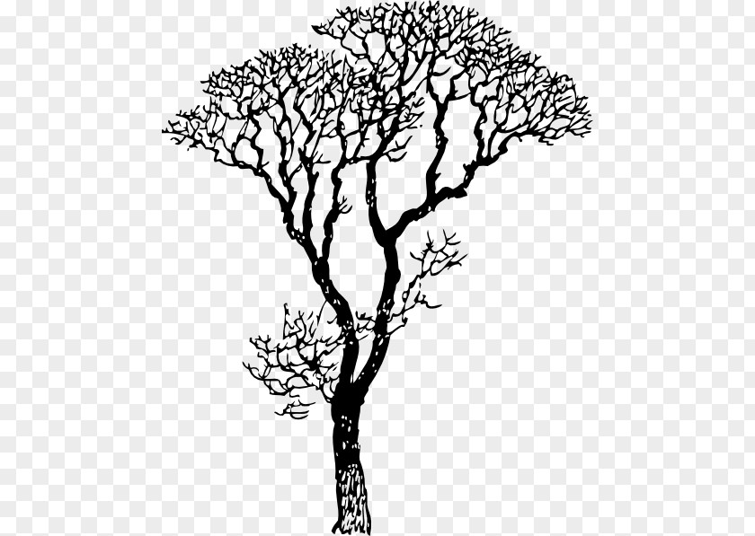 Tree Wall Decal Sticker Branch PNG