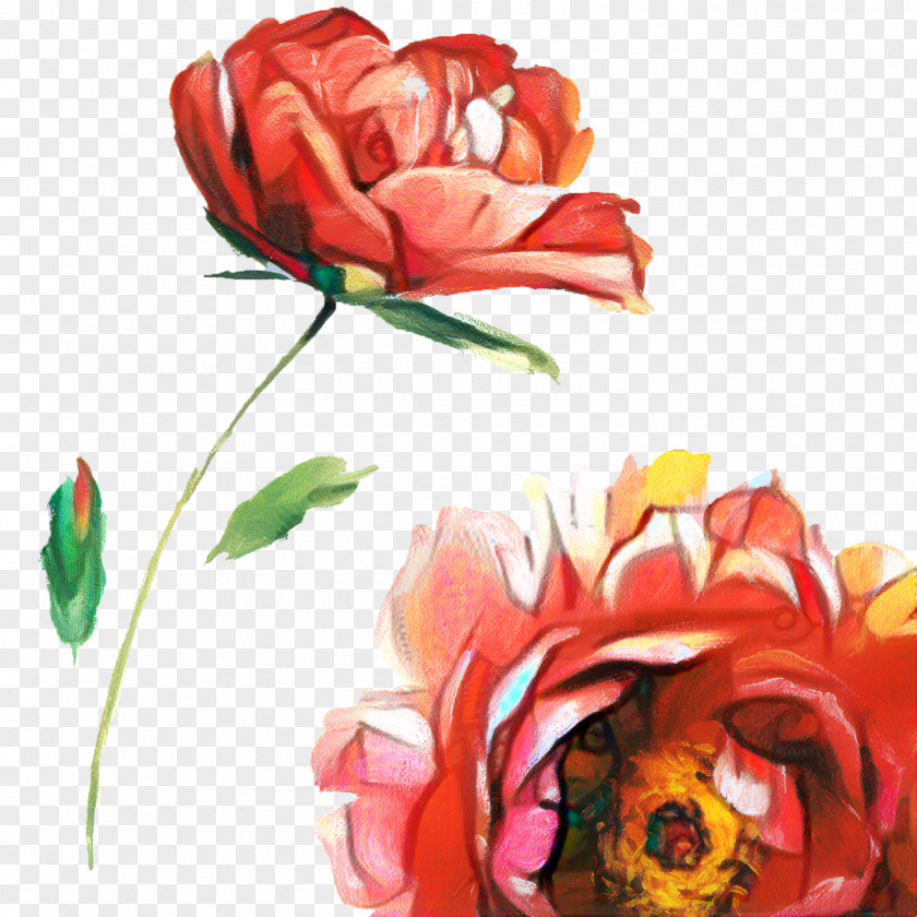 Tulip Floristry Red Watercolor Flowers PNG