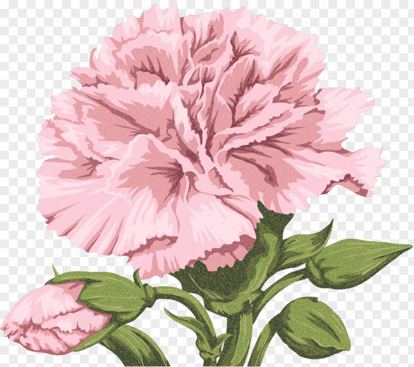 Garden Roses PNG