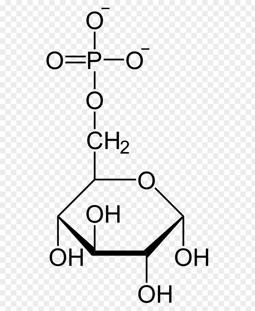 Glucose Molecule Organic Compound Chemistry Fructose PNG