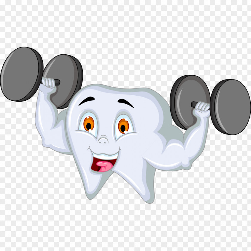 Teeth Weightlifting Tooth Brushing Cartoon Illustration PNG