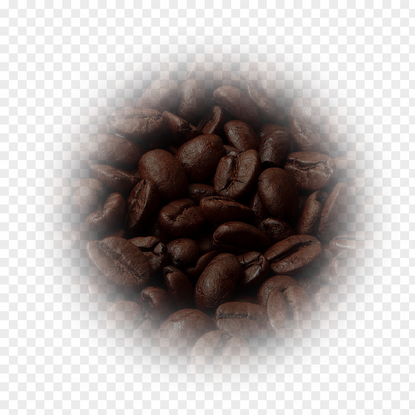 Coffee Beans Instant Kona Jamaican Blue Mountain Mocha PNG