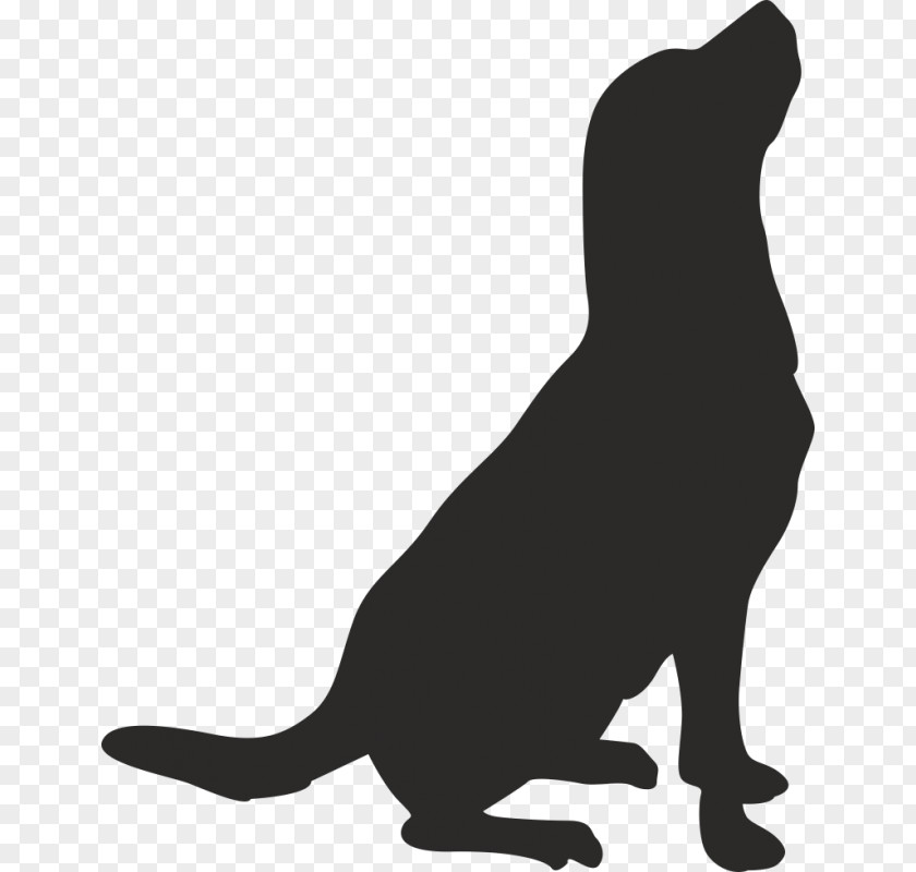 Silhouette Whiskers American Pit Bull Terrier Drawing Clip Art PNG