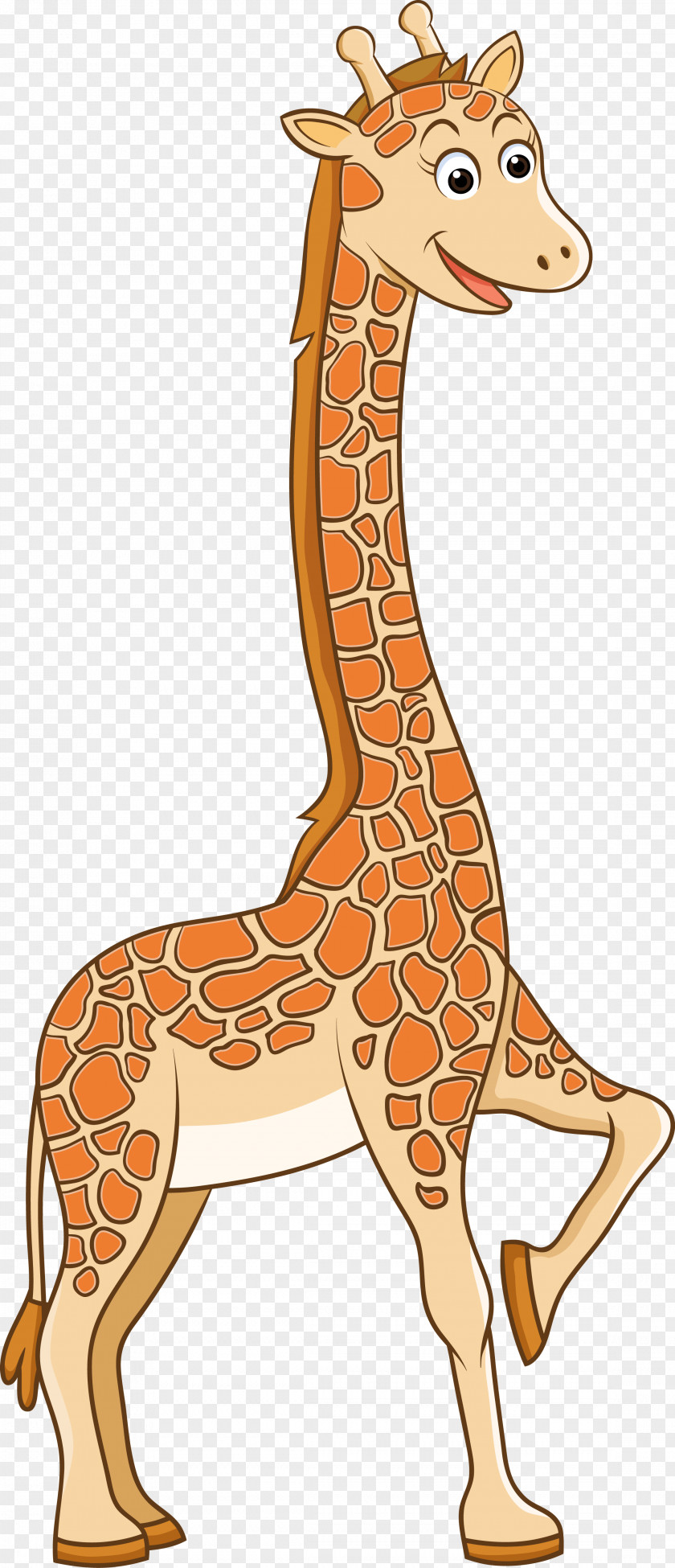 Vector Giraffe Northern Drawing Cartoon PNG