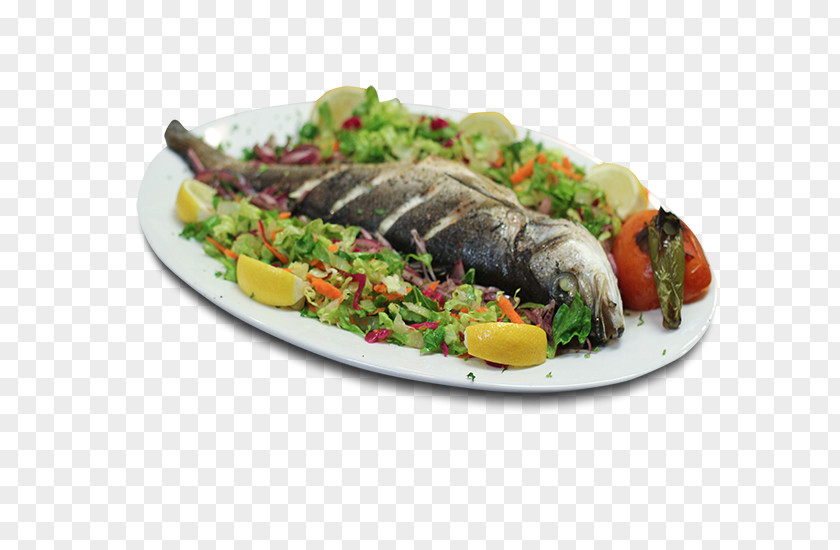 Fish Turkish Cuisine Mediterranean Shish Kebab Japanese Sea Bass PNG