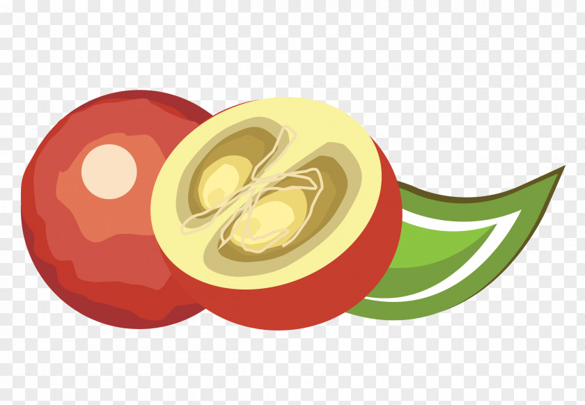 Fruit Camu Marmalade Organic Food Productos Bandera Del Perú PNG
