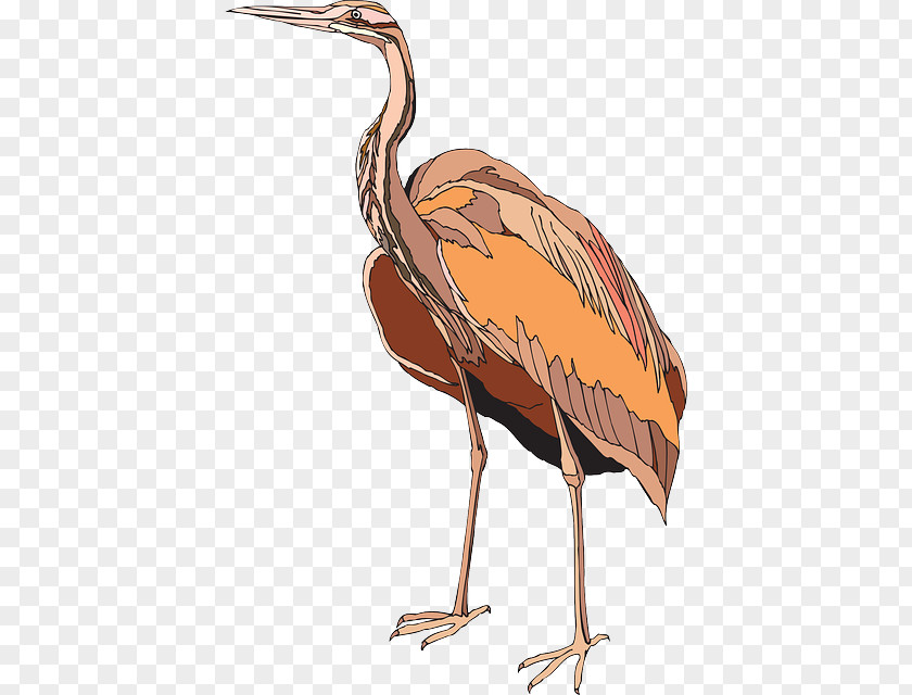 Bird Crane Heron Wing PNG