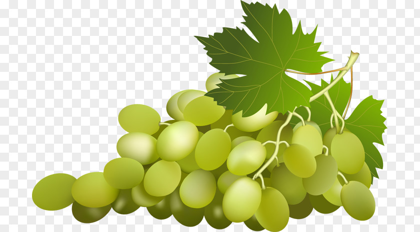 Grape Leaves Wine Clip Art PNG