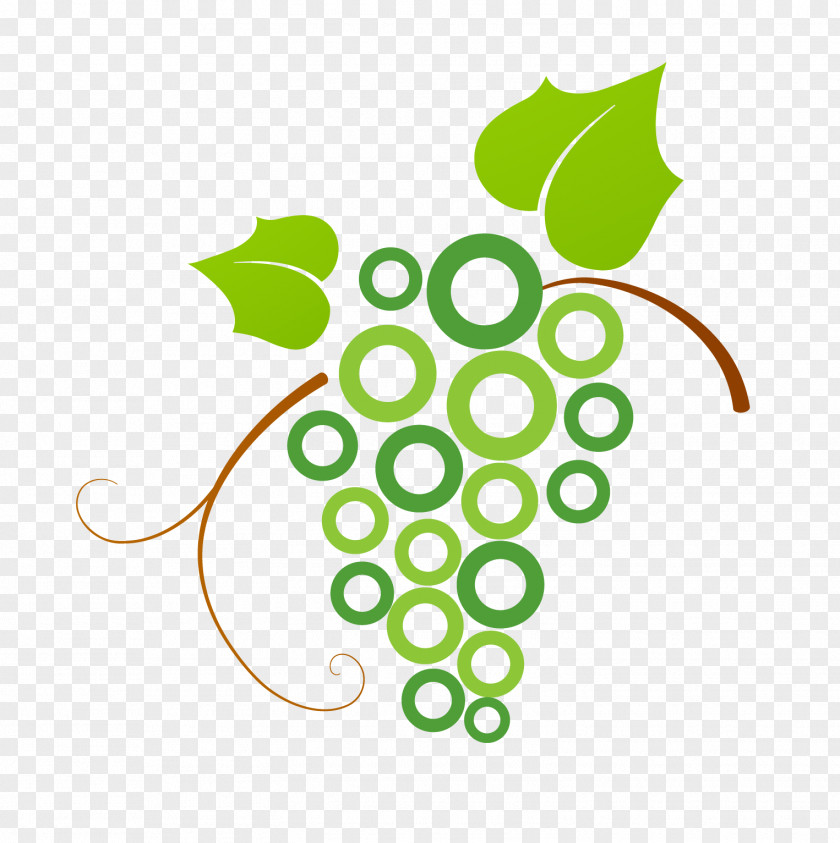 Green, Fresh Grape Logo Common Vine PNG