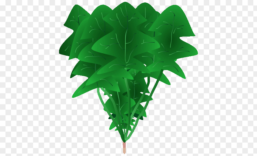 Leaf Green Flowerpot Plant Stem PNG