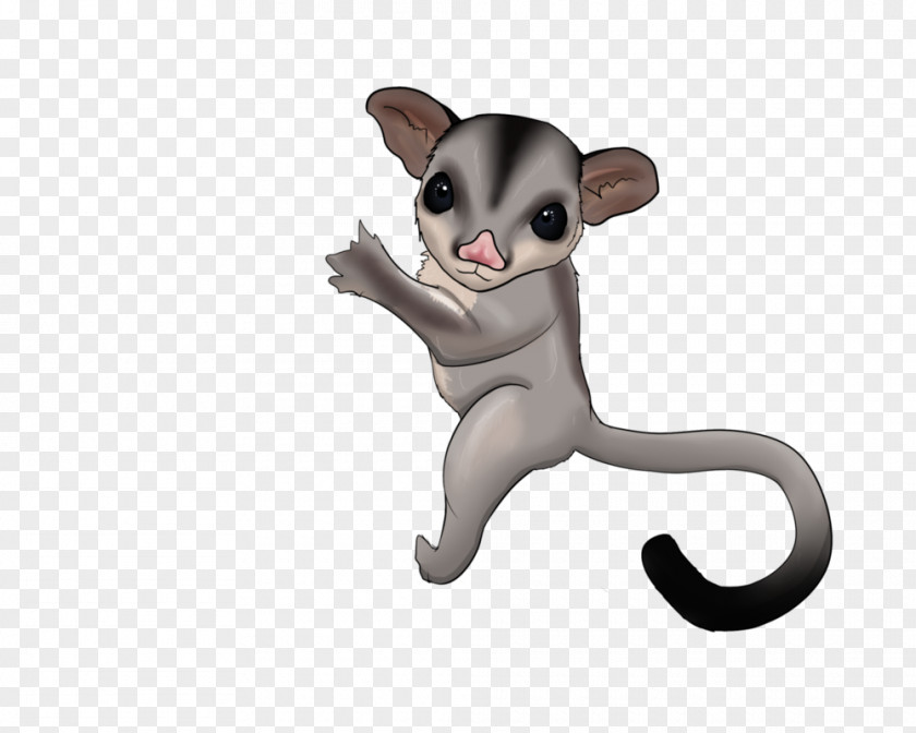 Sugar Glider Drawing Puppy Clip Art PNG