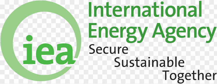Outlook International Energy Agency World Consumption Organization PNG