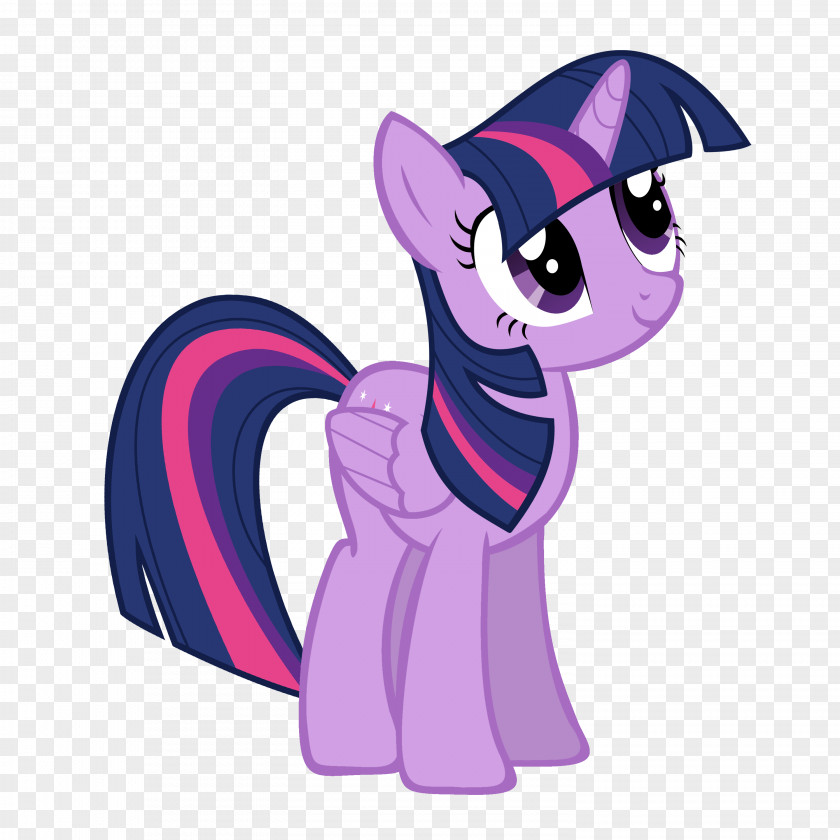 Sparkle Twilight Rarity Pony YouTube Winged Unicorn PNG
