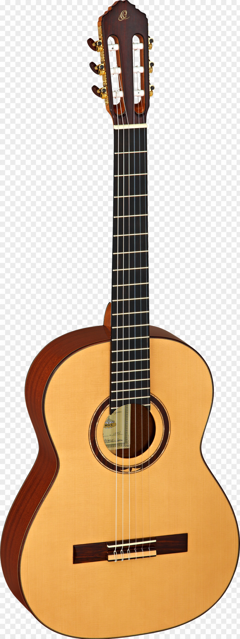 Amancio Ortega NAMM Show C. F. Martin & Company Steel-string Acoustic Guitar D-28 PNG