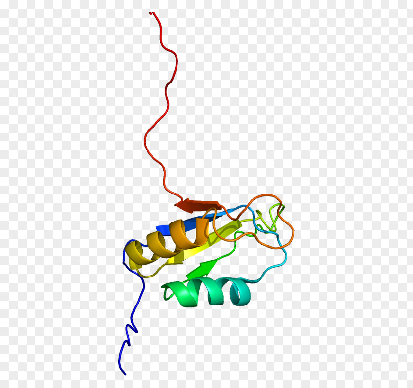 CUGBP1 CUGBP Elav-like Family Member 4 Protein Gene PNG