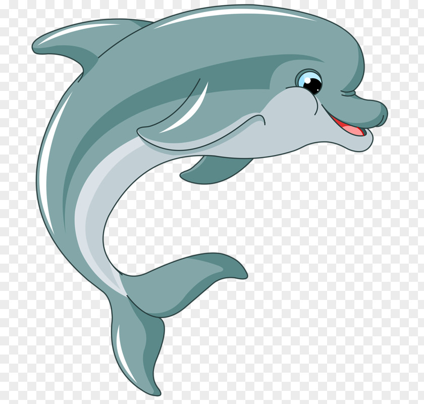 Dolphin Royalty-free Illustration PNG