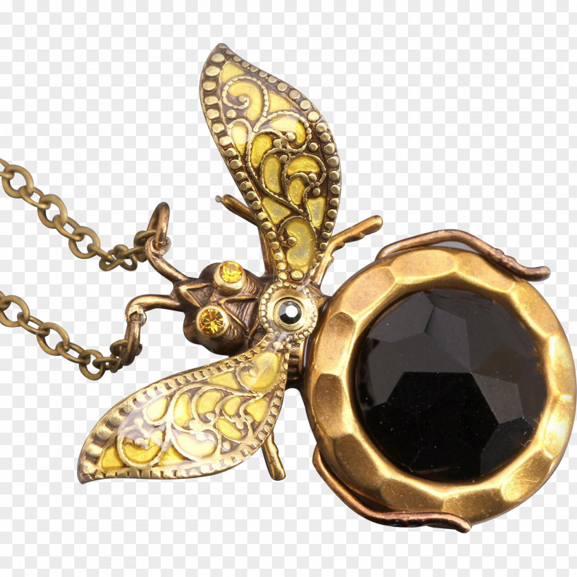 Insect Locket Earring Jewellery Charms & Pendants Brooch PNG