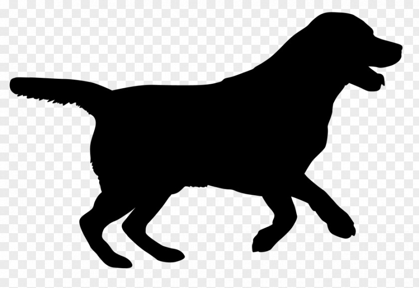 Puppy Labrador Retriever Silhouette Dog Breed Cat PNG