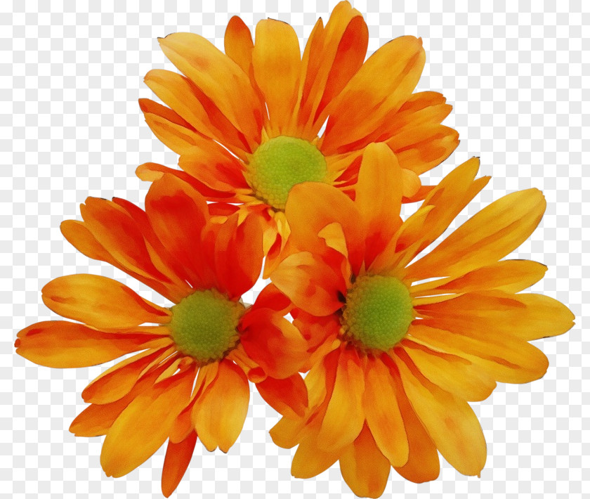Artificial Flower Flowering Plant PNG