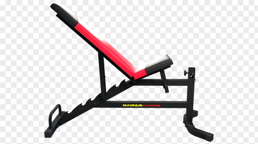 Extreme Sports Bench Fitness Centre Weight Training Garden Furniture PNG
