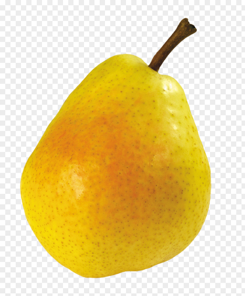Juicy Pear Clip Art PNG