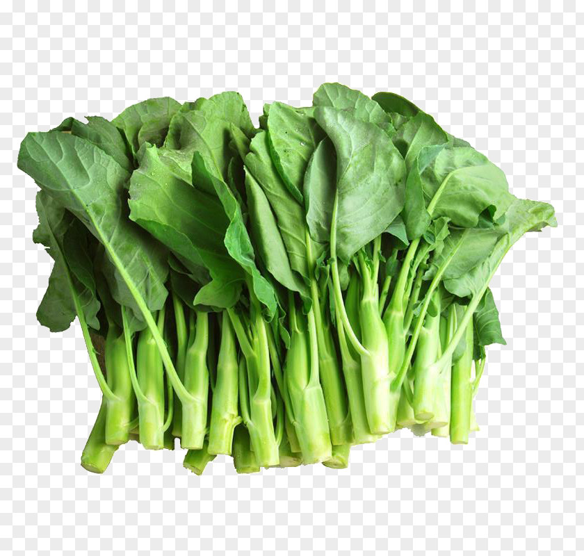 Kale Stems And Leaves Chinese Broccoli Brassica Juncea Vegetable PNG