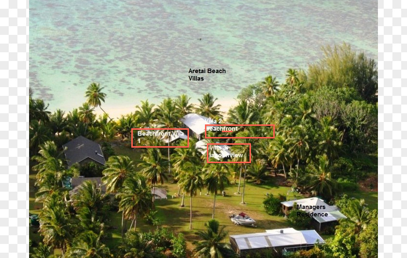 Straits View Villas Property Resort Hill Station Arecaceae Land Lot PNG