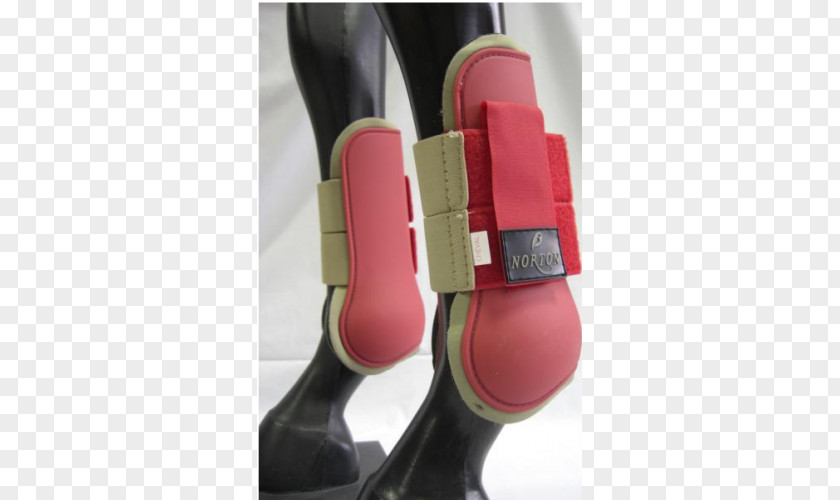 Tendon Clothing Accessories Norton AntiVirus Shoe Hook-and-loop Fastener PNG