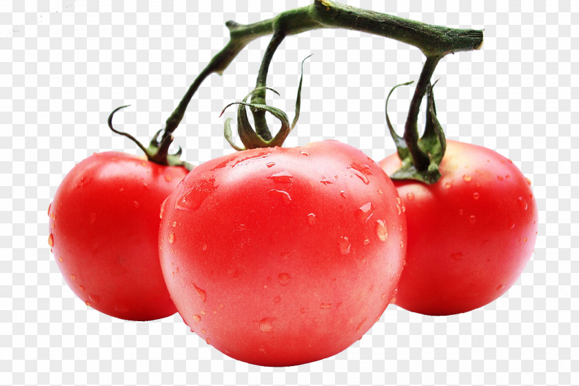 Tomato Clip Juice Vegetable Canned Extract PNG