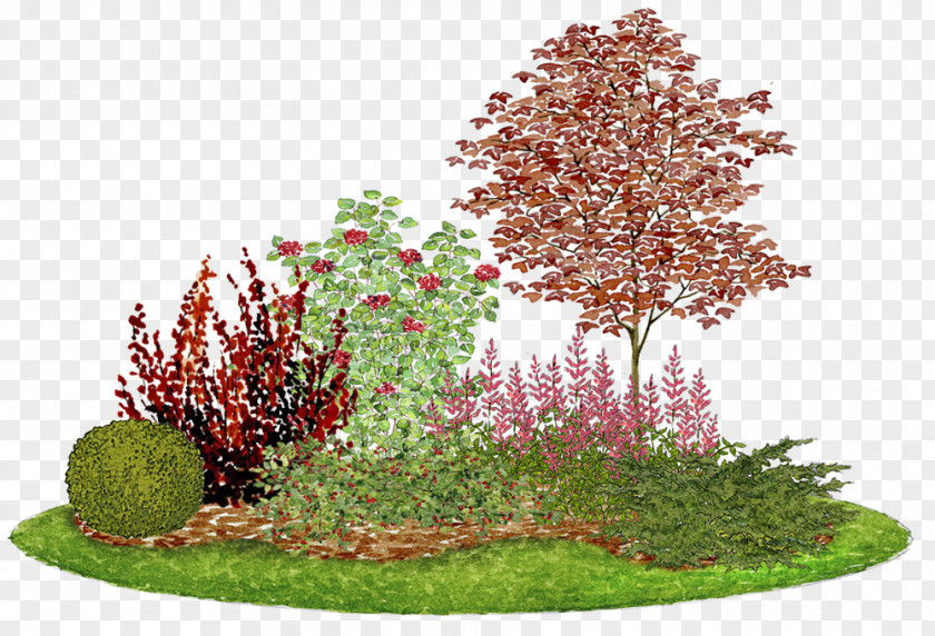 прайс Composition Flower Garden Landscape Design Acer Ginnala PNG
