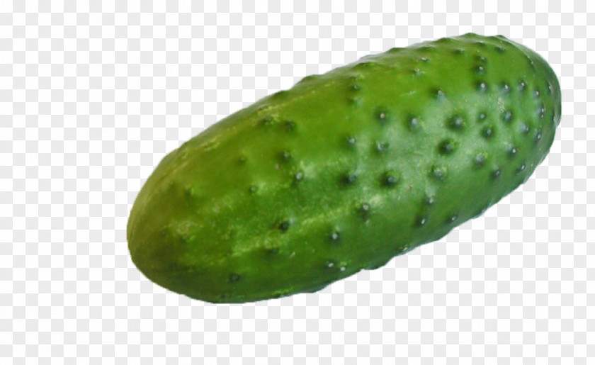 Cucumber Pickled Vegetable Israeli Salad Fruit PNG