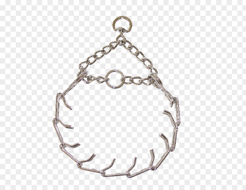 Dog Collar Leash Jewellery Necklace PNG