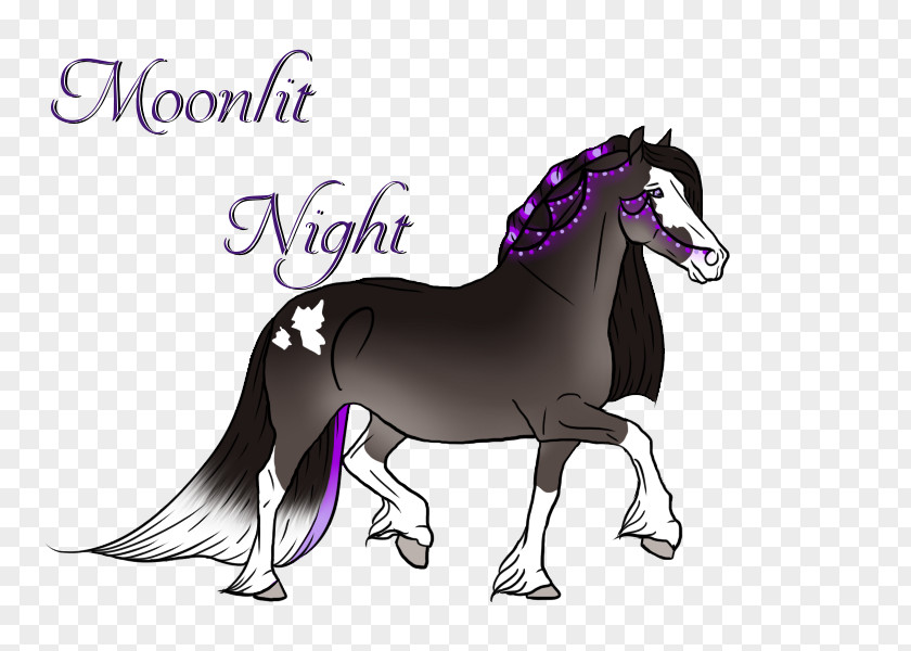 Girls Night Mustang Stallion Foal Colt Mare PNG