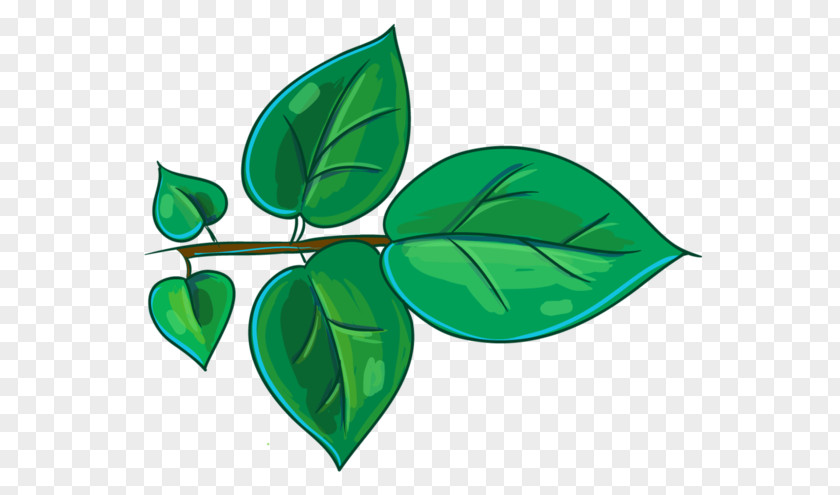 Leaf Plant Stem Branch Watercolor Painting Clip Art PNG