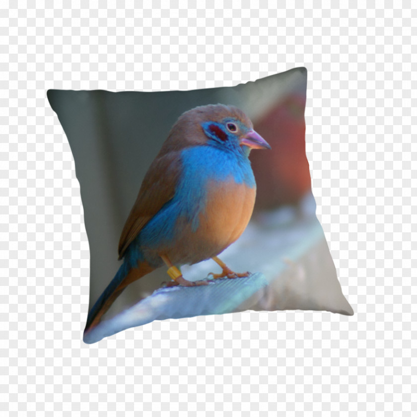 Pillow Wren Cushion Feather Beak PNG