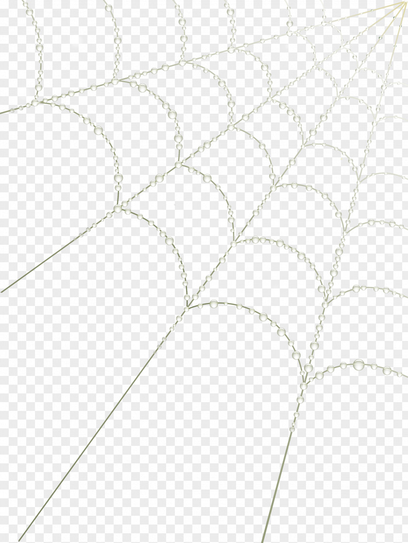 Spider Silk Angle Clip Art PNG